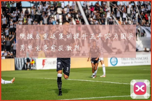 樊振东重返集训提升正手实力国乒男单竞争愈发激烈