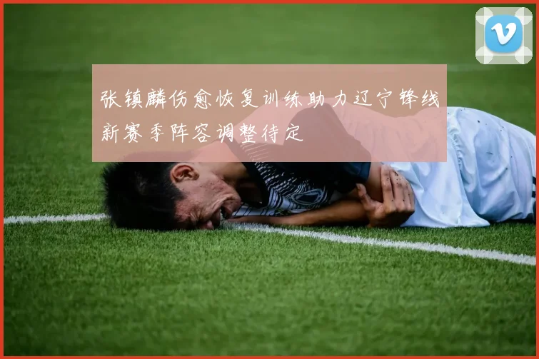 张镇麟伤愈恢复训练助力辽宁锋线新赛季阵容调整待定